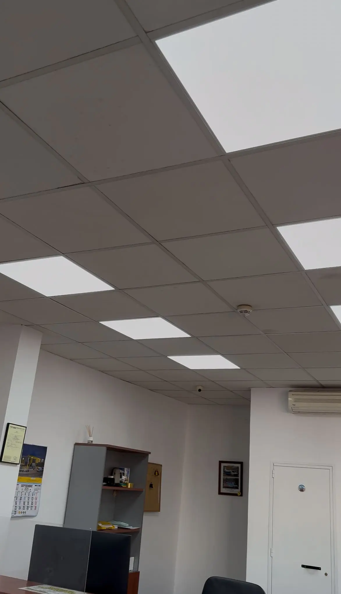 Realizamos la instalación completa de paneles LED empotrados en techo técnico, mejorando de forma notable la iluminación general del espacio. El nuevo sistema aporta una luz uniforme, mayor eficiencia energética y un entorno de trabajo más cómodo y moderno. Trabajo limpio, rápido y totalmente adaptado a normativa.